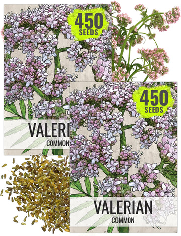 Seed Needs valerian seeds packaging with sowing instructions for home herb garden.