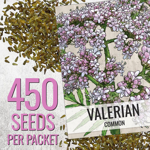 Sowing Seed Needs valerian seeds in well-drained soil.