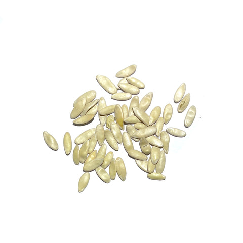 Seed Needs vertical gardening setup with cucumber vines for small-space gardens.