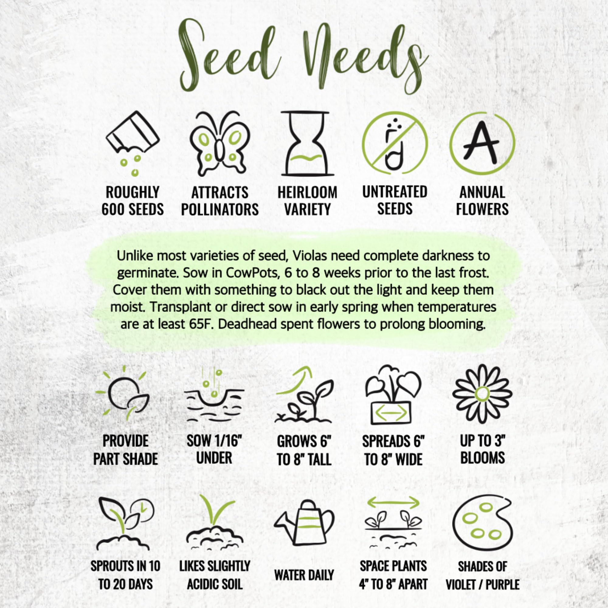 Seed Needs King Henry Violas in a container garden.