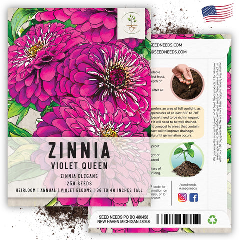 Seed Needs Violet Queen zinnia seedling indoors for early season growth.