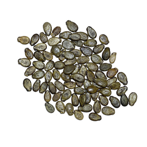 Seed Needs Watermelon seeds arrive fresh directly from growers.