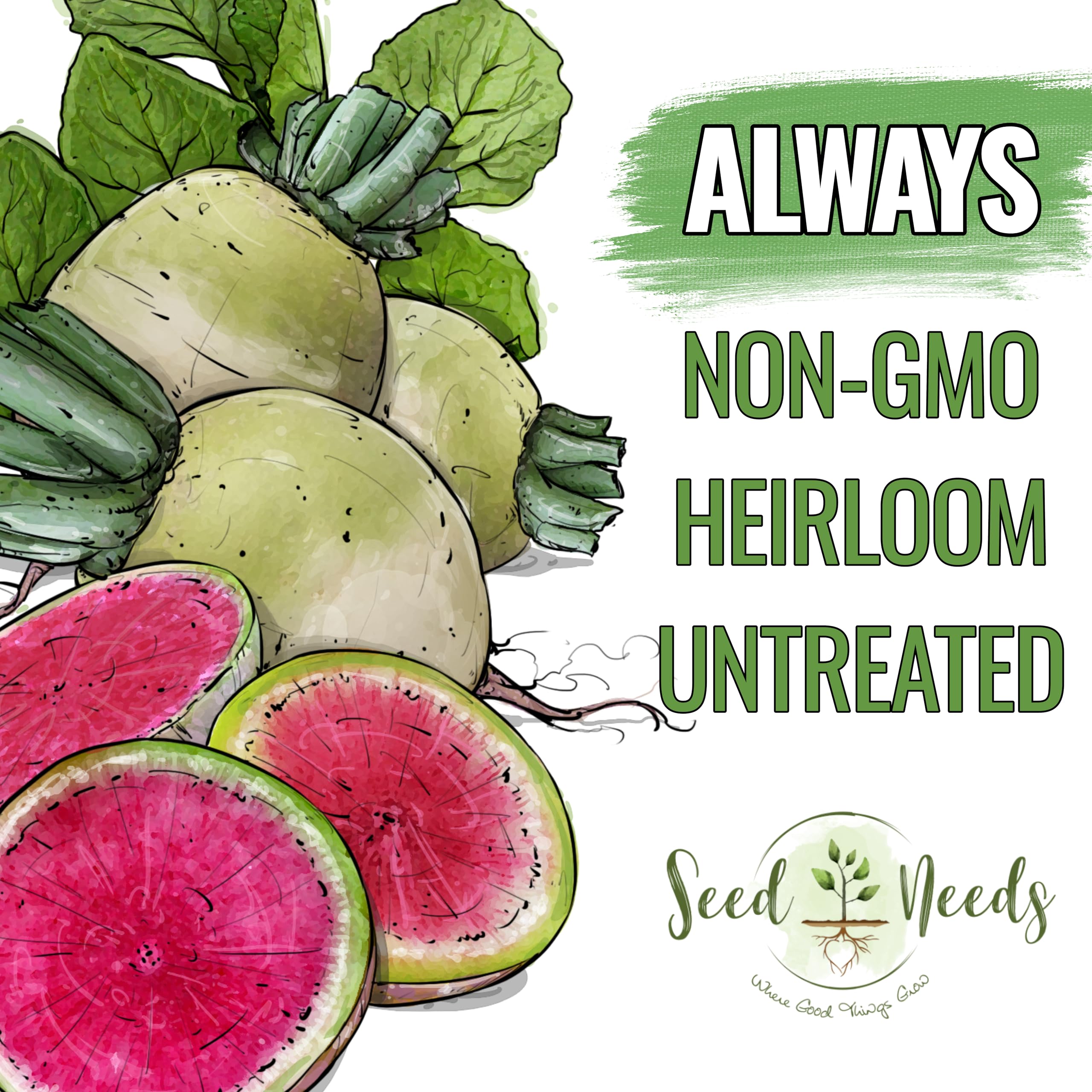 Seed Needs Watermelon Radish growth stage highlights pink interior and crisp texture promise.