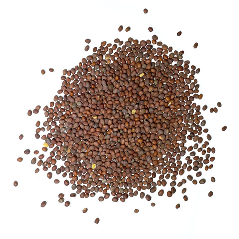 Seed Needs Watermelon Radish packaging details emphasize freshness and sowing guidance.