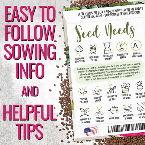 Seed Needs Watermelon Radish seeds closeup showing heirloom quality and freshness.