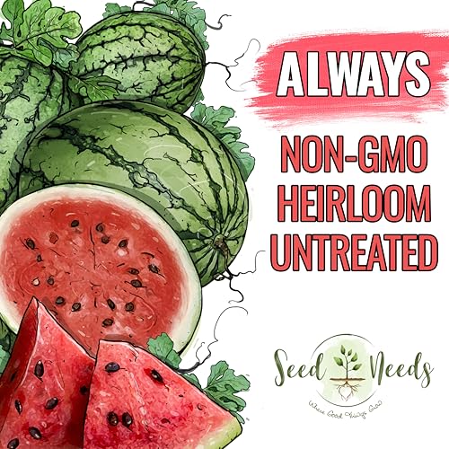 Seed Needs seed packet artwork showcases variety details for informed planting choices