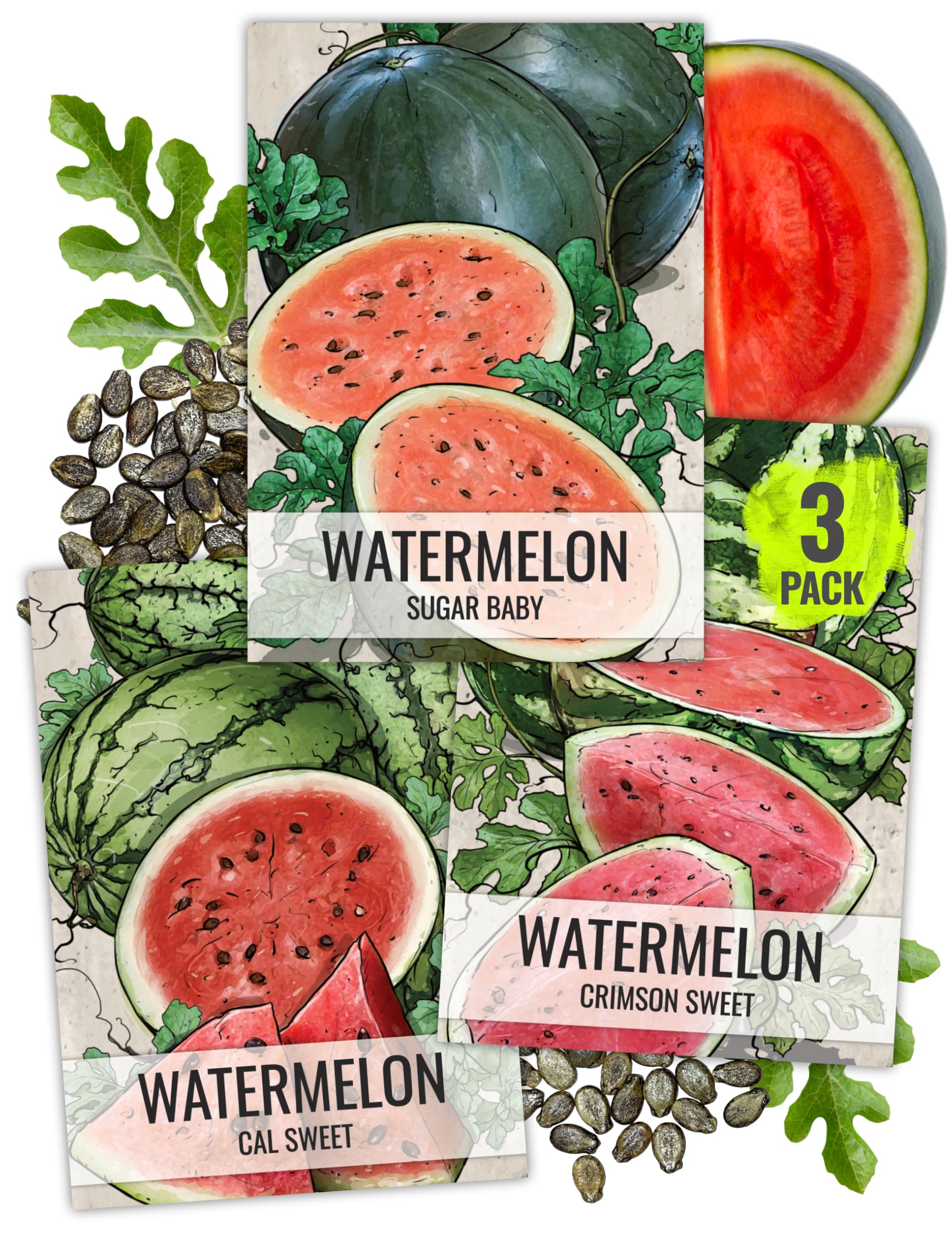 Seed Needs Crimson Sweet seed pack illustration for home gardening and flavorful harvest