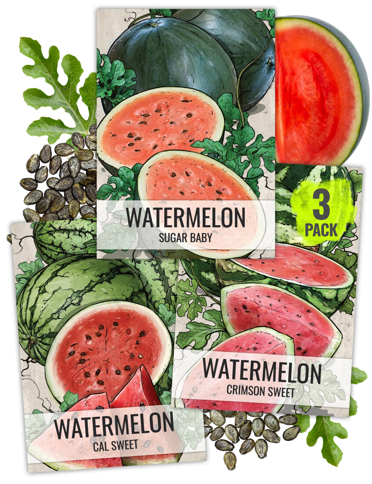 Seed Needs Crimson Sweet seed pack illustration for home gardening and flavorful harvest