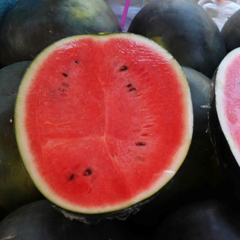 Seed Needs watermelon seeds in a home garden setup for tasty summer fruit