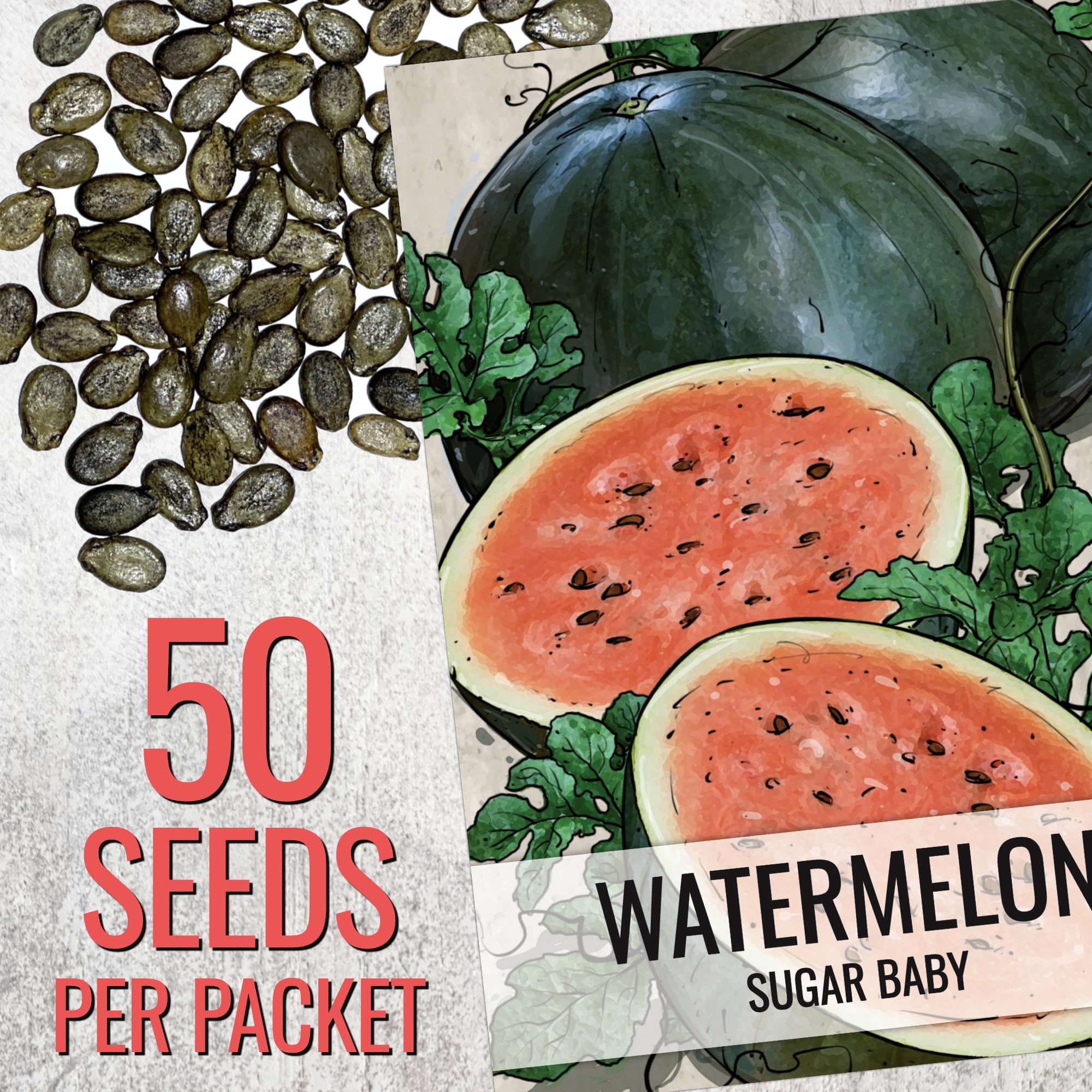 Seed Needs watermelon vine shows compact growth suitable for small gardens.