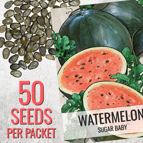 Seed Needs watermelon vine shows compact growth suitable for small gardens.