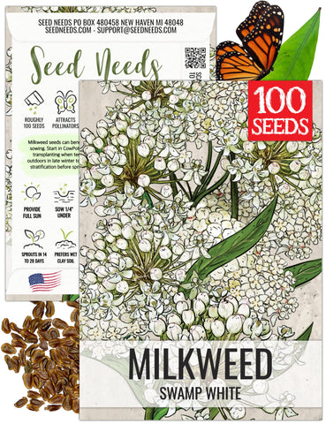 Seed Needs milkweed seeds white Asclepias incarnata flowers close-up, attracting pollinators.