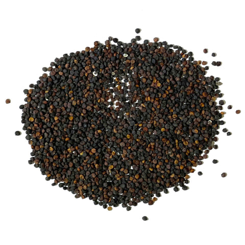 Seed Needs White Baby's Breath rock garden and dry soil suitability.