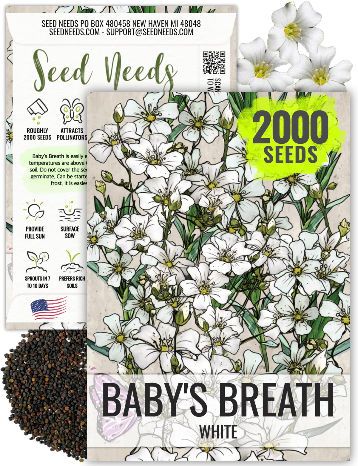 Seed Needs White Baby's Breath seed packet illustration highlighting heirloom seeds for easy garden color.