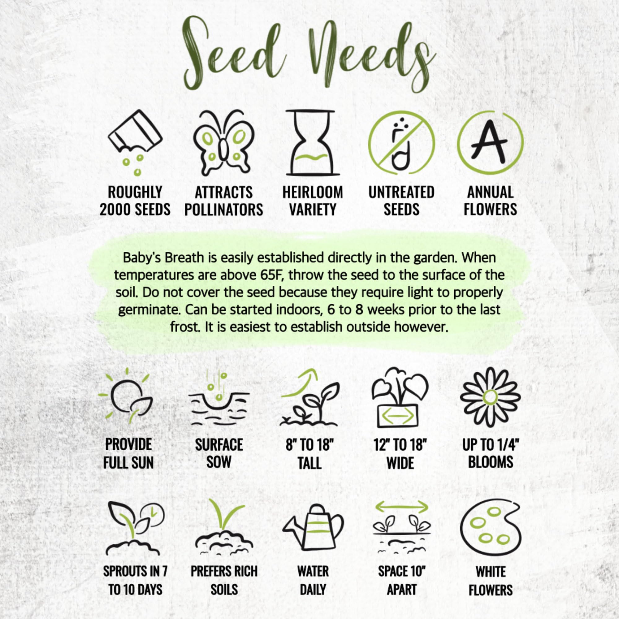 Seed Needs White Baby's Breath seed packets show sowing instructions.