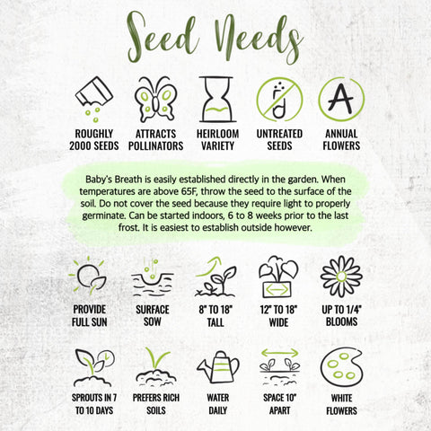 Seed Needs White Baby's Breath seed packets show sowing instructions.
