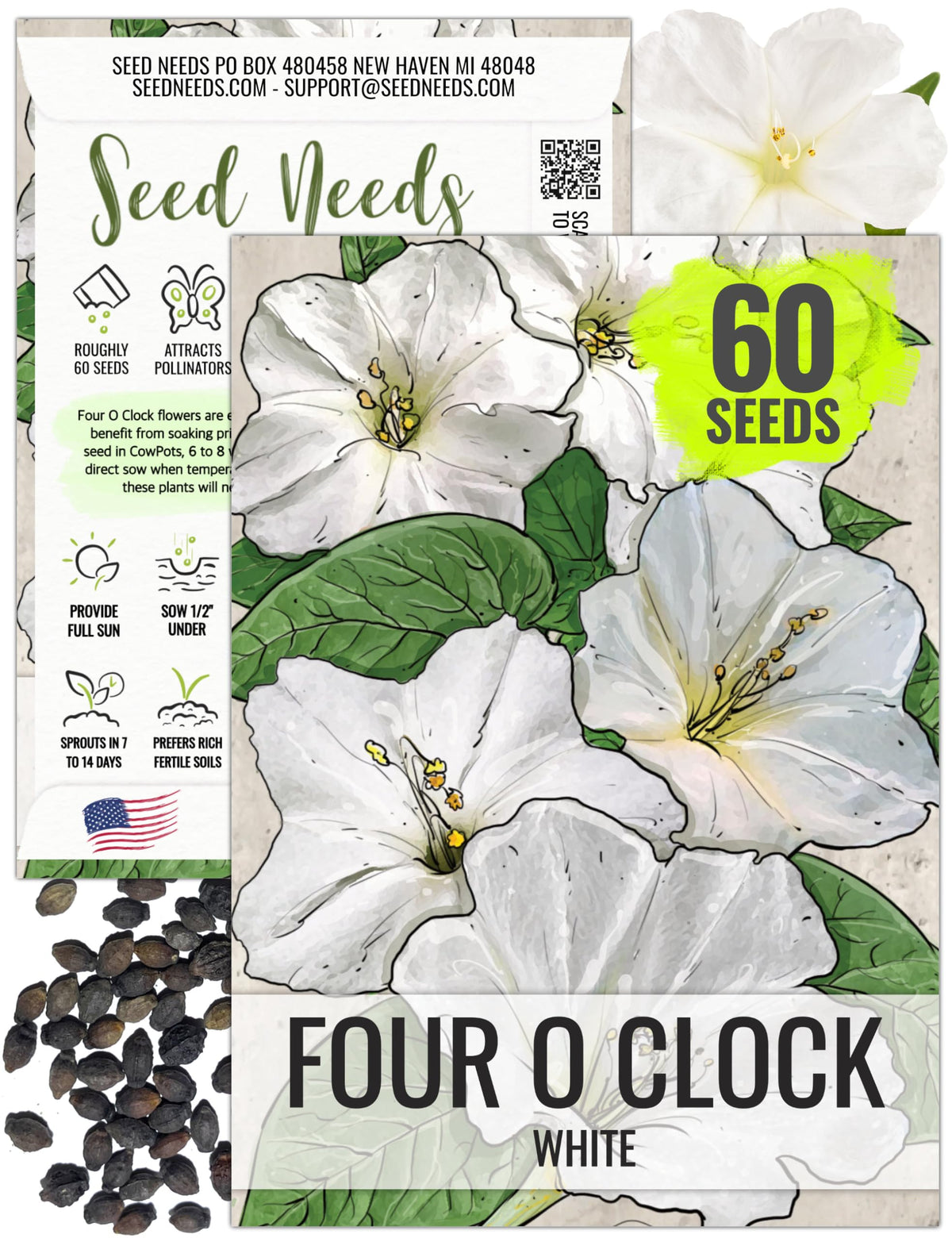 Seed Needs White Four Oclock bloom with trumpet flowers in late afternoon light for garden charm.