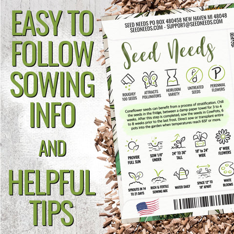 Seed Needs beeke-friendly White Swan Coneflower attracting pollinators.