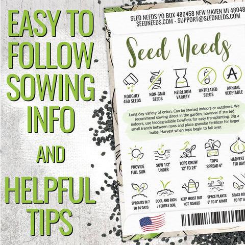 Seed Needs white sweet Spanish long day onion bulbs with golden skins.