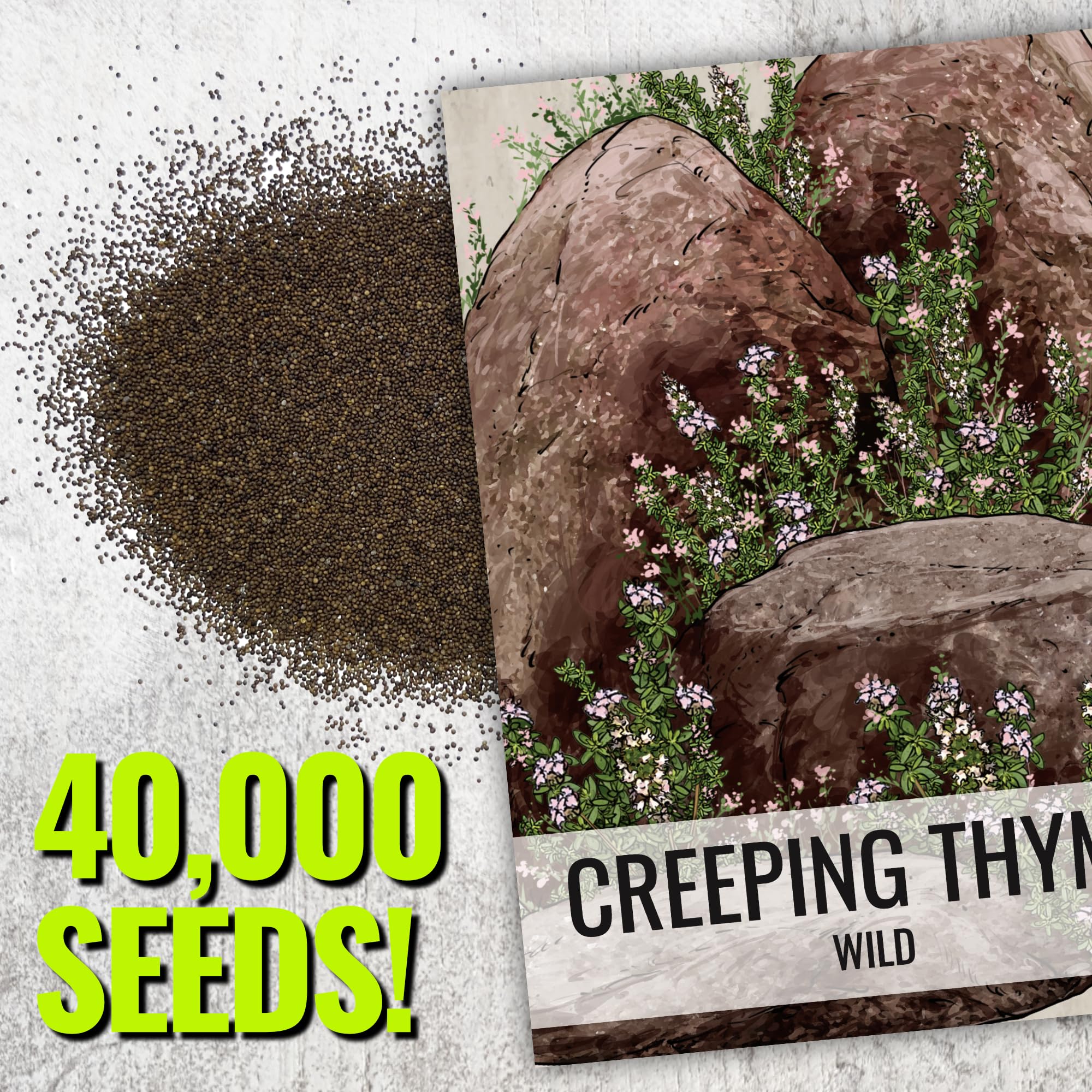 Seed Needs direct-from-growers thyme seeds indicate freshness and reliability.