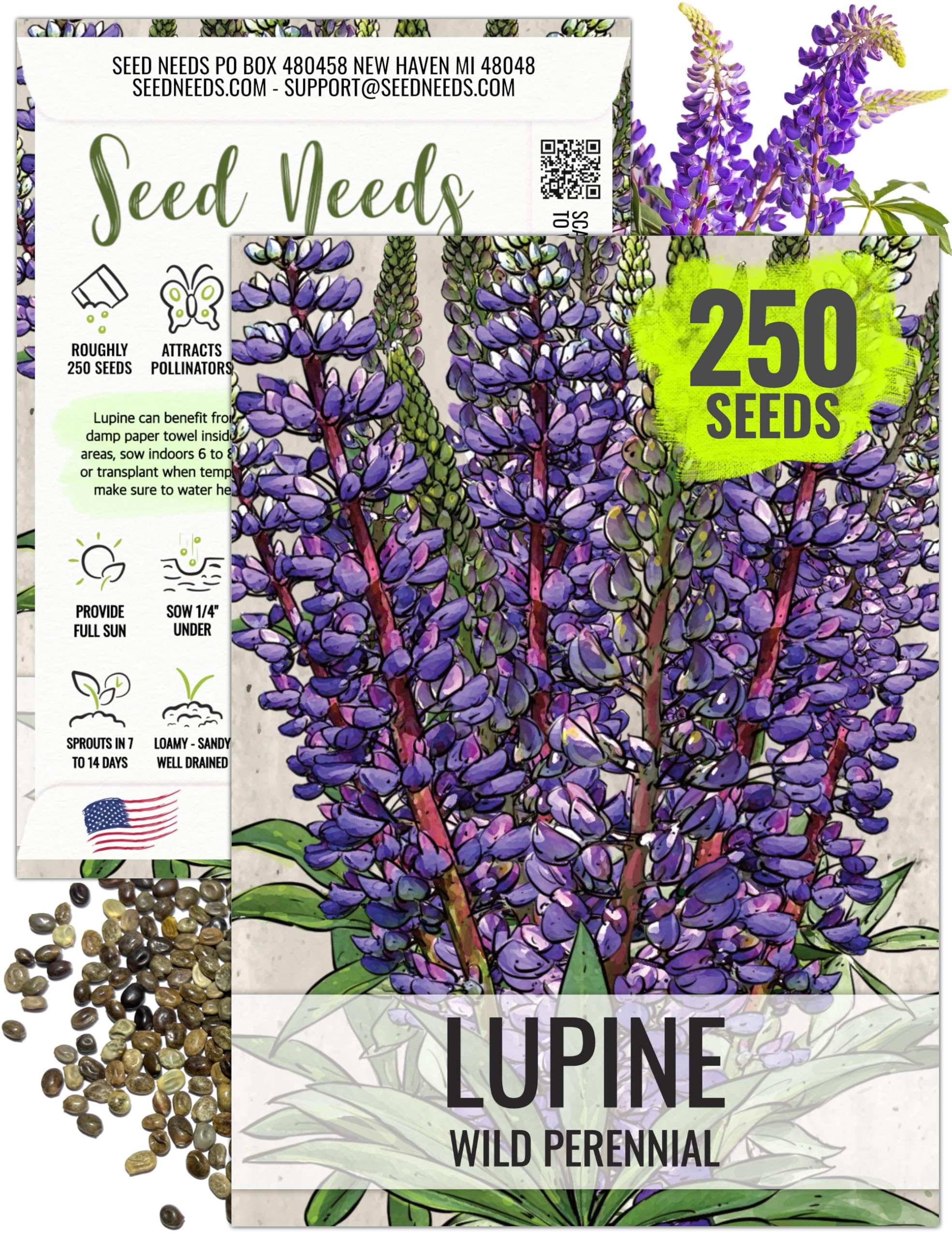 Seed Needs wild lupine blue spikes attract bees and butterflies.