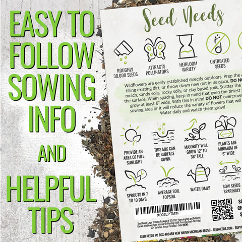 Seed Needs giant star columbine seeds for elegant perennial focal points