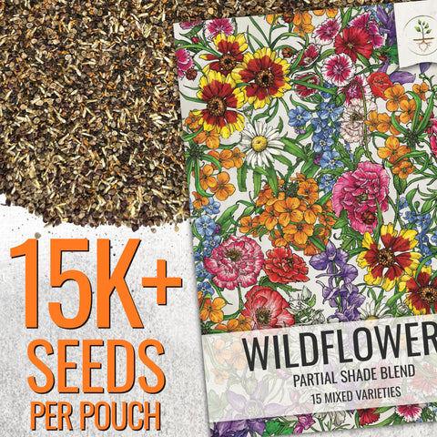 Seed Needs wildflower seeds bulk pack illustration highlighting germination potential