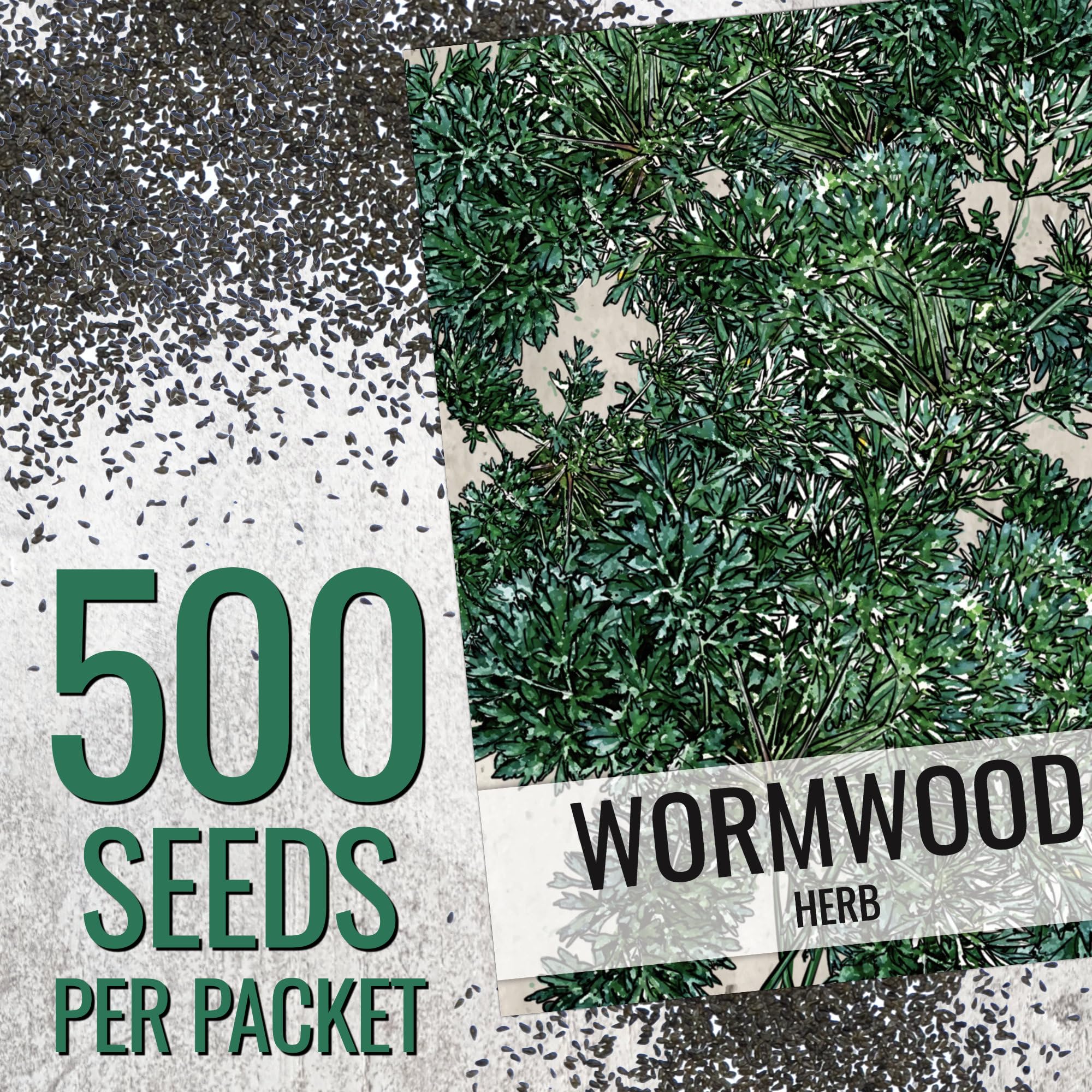 Seed Needs heritage seed pack front image emphasizes non-GMO, open-pollinated seeds.