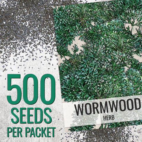Seed Needs Wormwood seeds illustration with sowing guidelines for beginners.