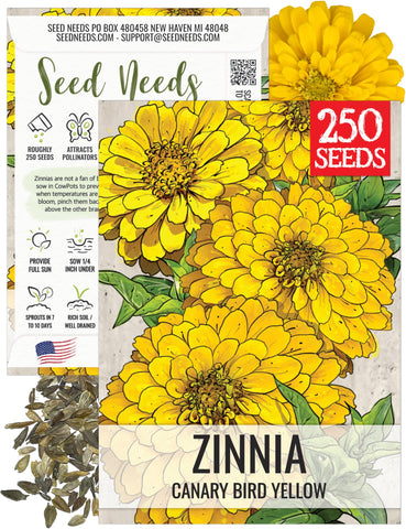 Seed Needs zinnia canary bird yellow flower brightens sunny borders and attracts butterflies.