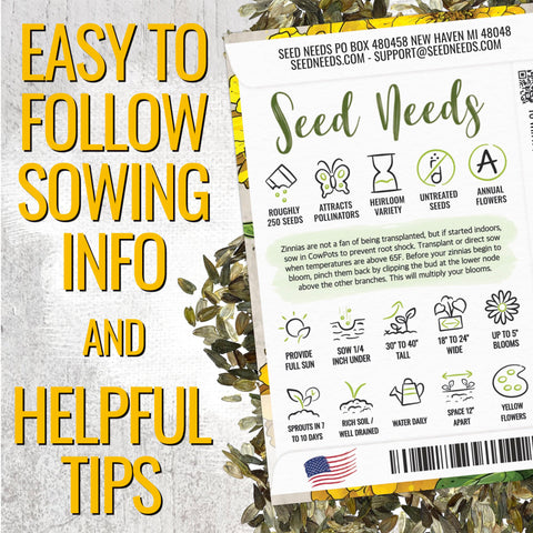 Seed Needs zinnia easy to grow in full sun, ideal for beginners.