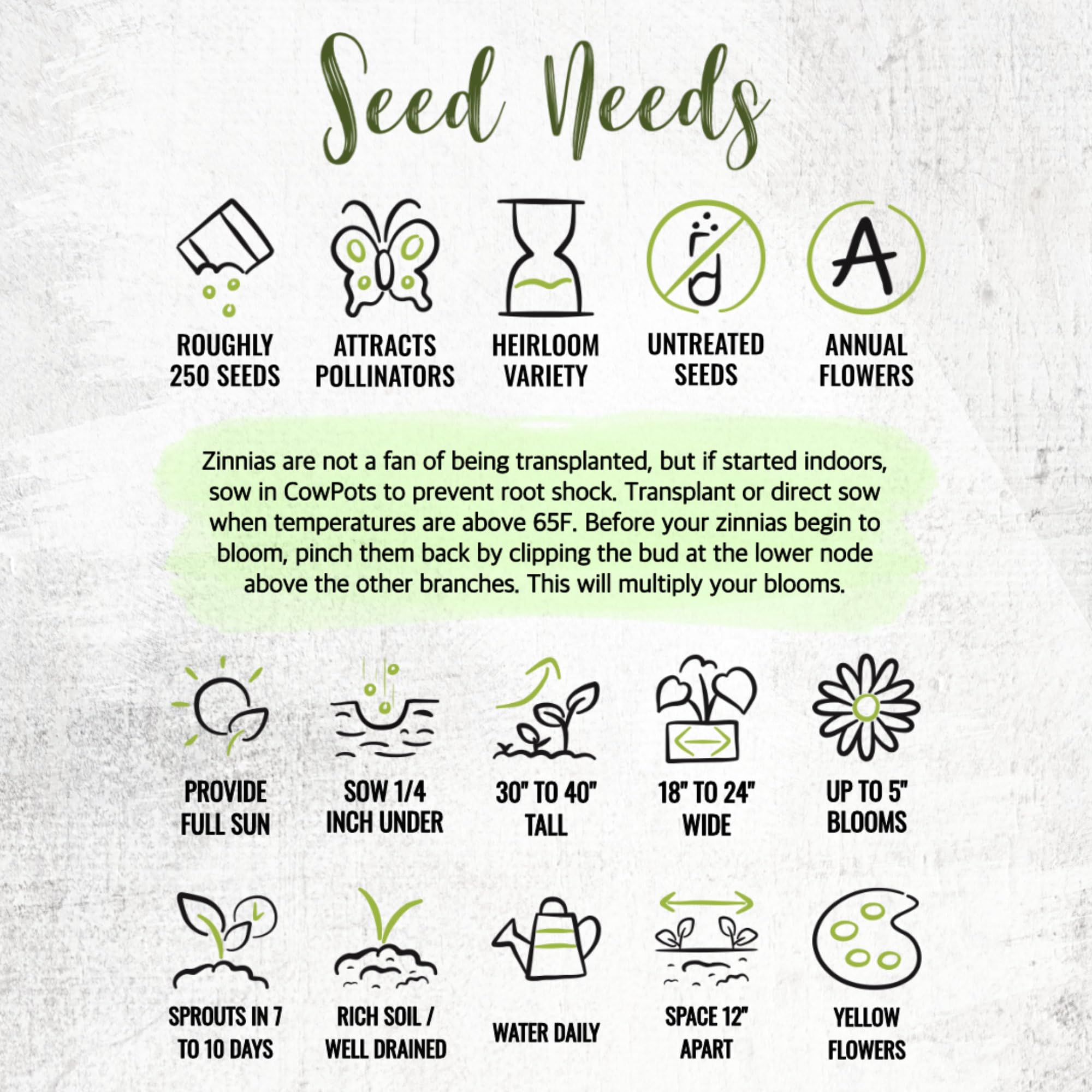 Seed Needs fresh seeds direct from growers support quick garden results.