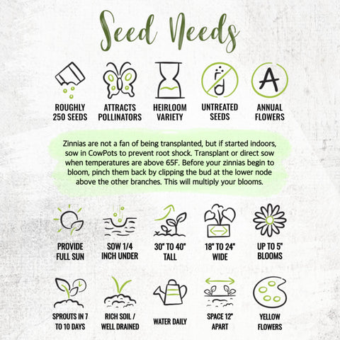 Seed Needs fresh seeds direct from growers support quick garden results.