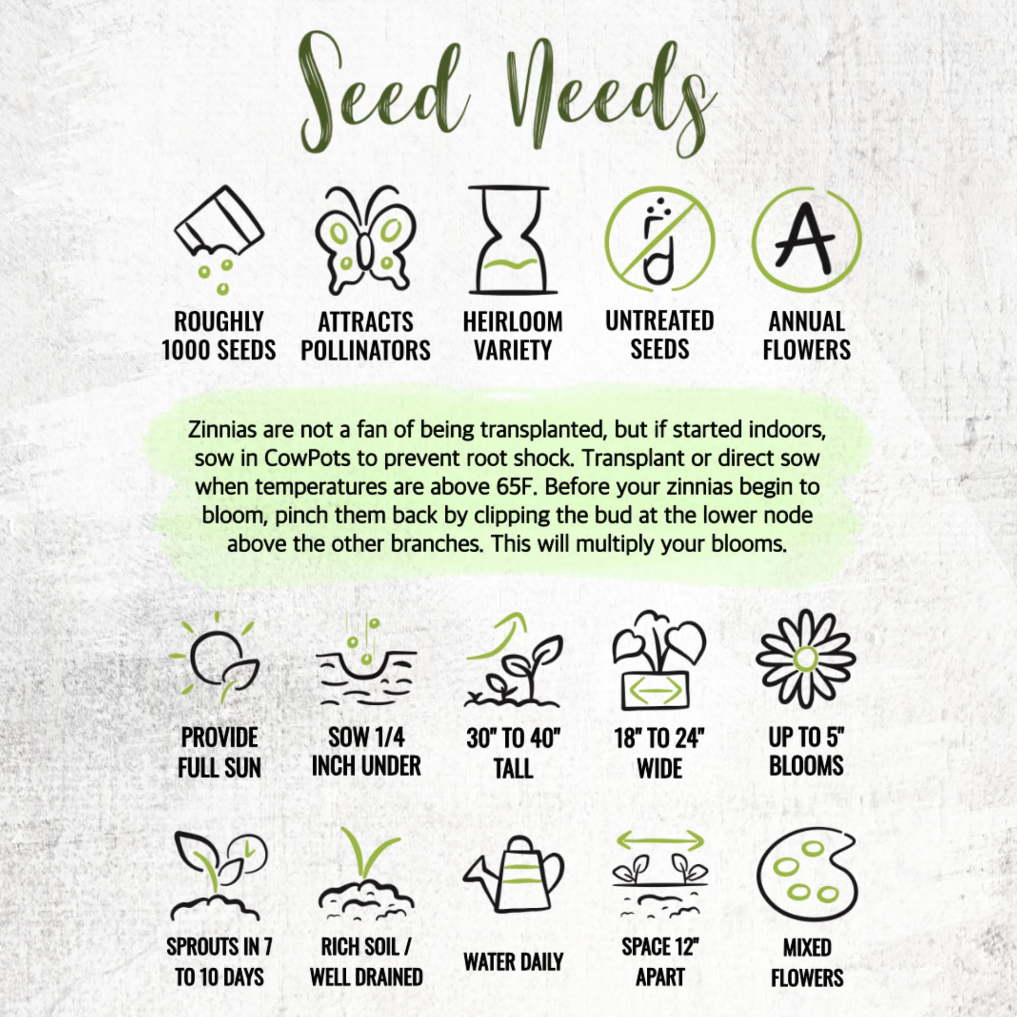 Seed Needs zinnia full sun growth guide for easy cultivation