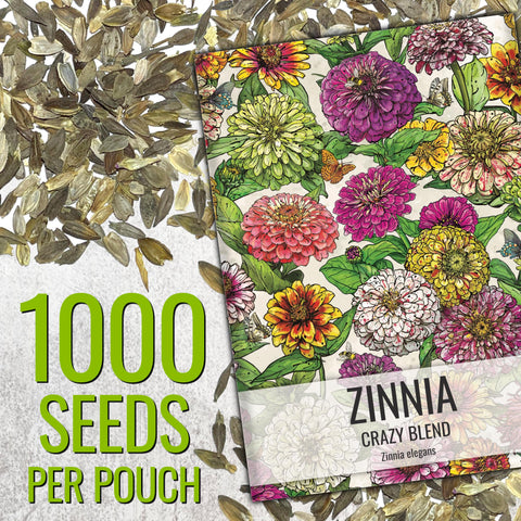 Seed Needs Zinnia open-pollinated bulk seeds ensure garden success