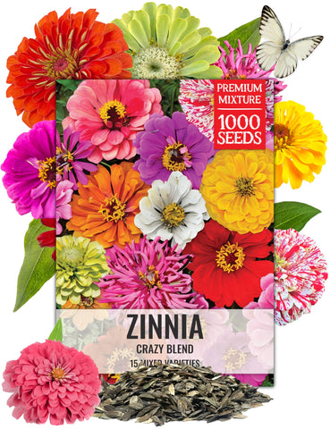 Seed Needs Crazy Zinnia Mix colors brighten borders and bouquets