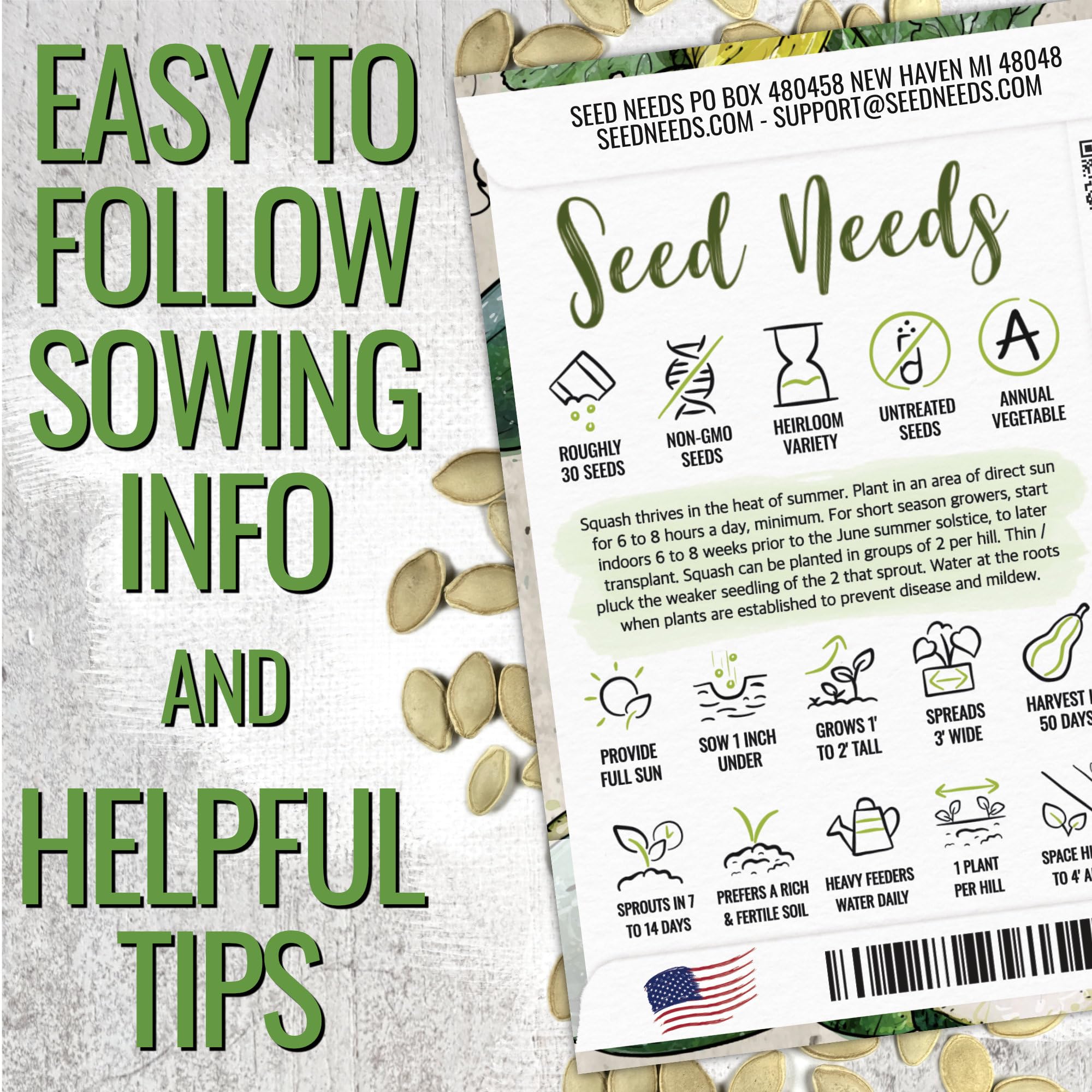 Seed Needs zucchini plants thriving in a sunlit garden bed for abundant harvest.