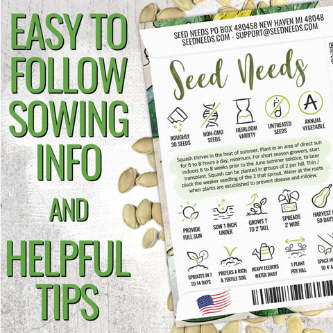 Seed Needs zucchini plants thriving in a sunlit garden bed for abundant harvest.