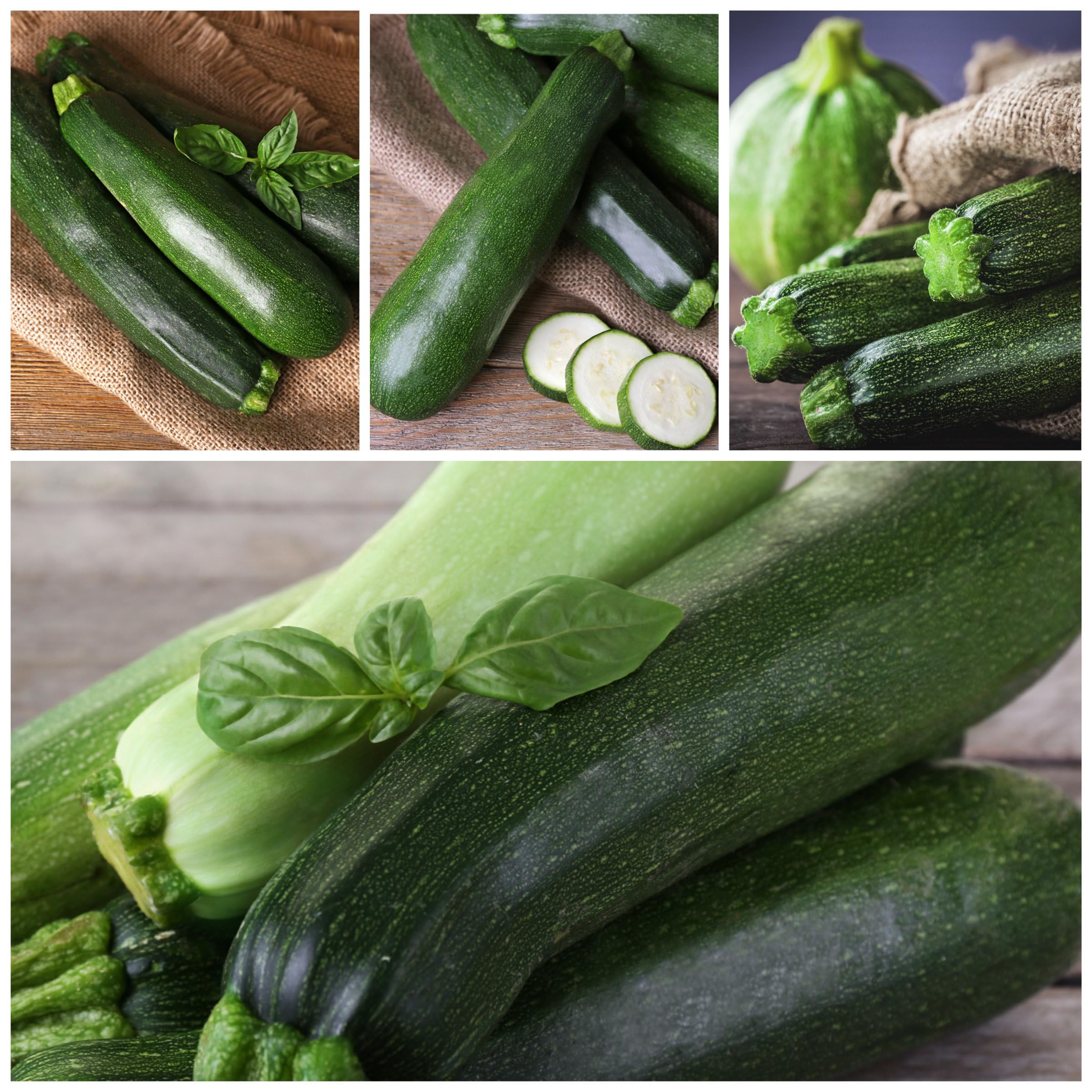 Seed Needs zucchini sliced dish ready for quick weeknight meals.