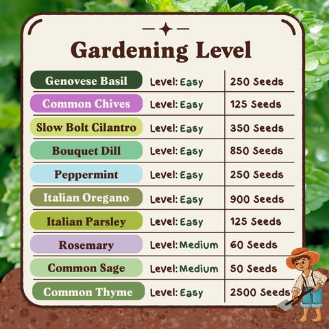 Seedboy Italian oregano seeds for Italian cooking and pizza toppings.