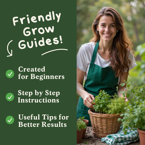 Seedboy thyme seeds for quick flavor boosts in roasts and stews.