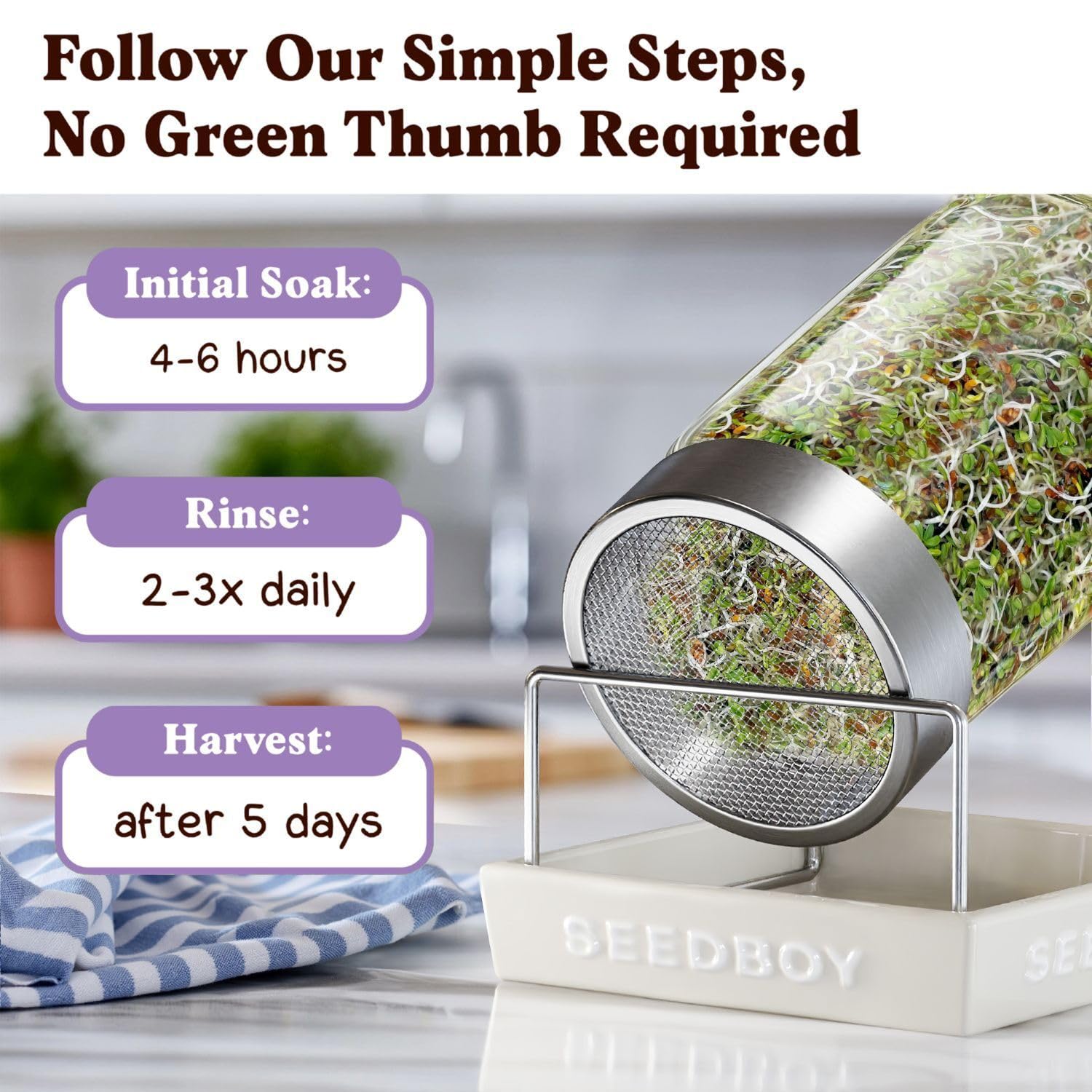 Seedboy alfalfa sprouts added to bowls for everyday nutrition.