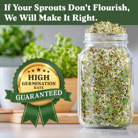 Seedboy alfalfa sprouts on a fresh salad highlighting mild, nutty flavor.