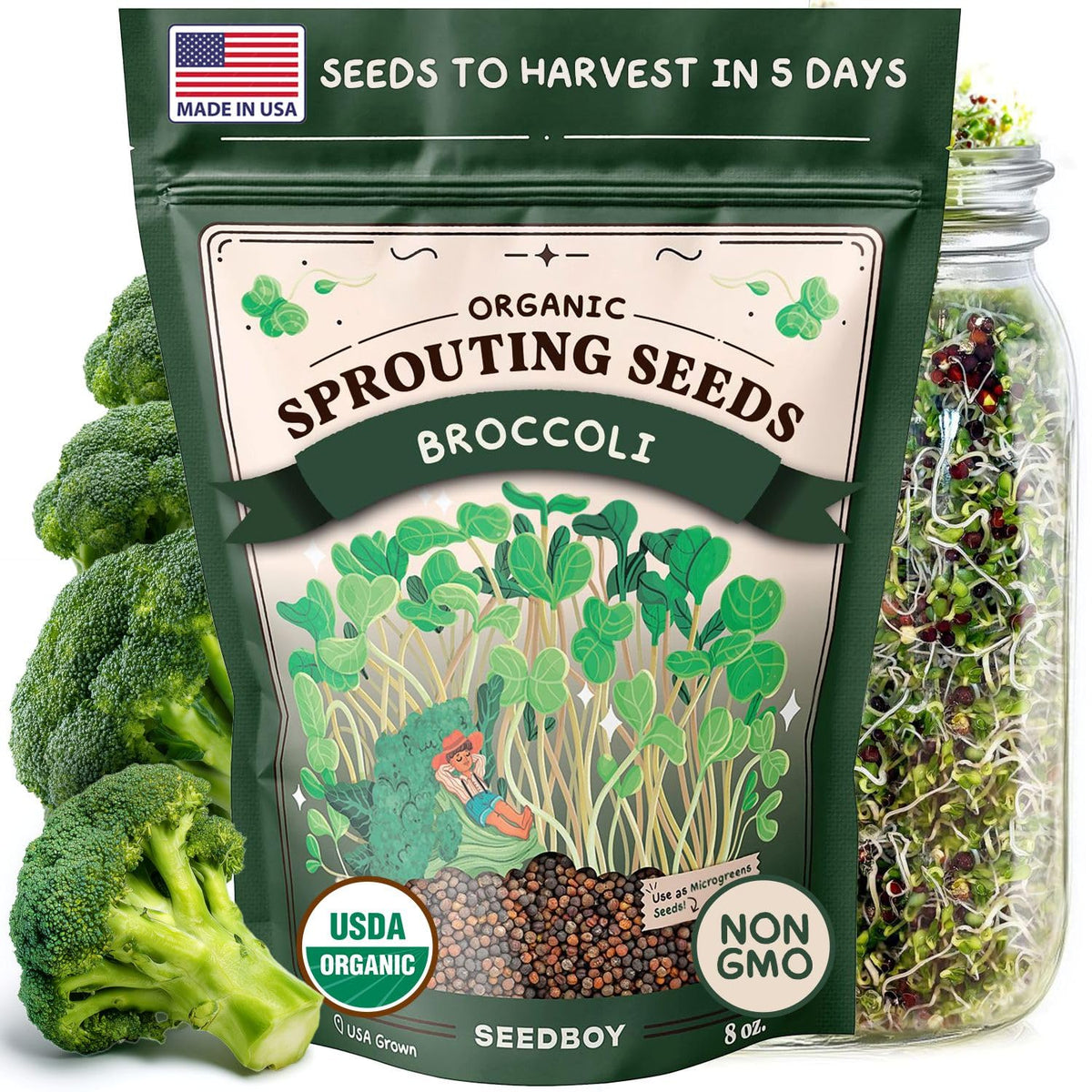 Seedboy broccoli sprouting seeds in a jar for quick greens.