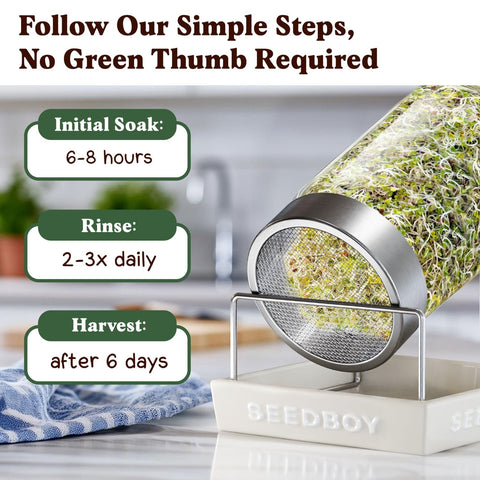 Seedboy broccoli sprouts ready to eat with a crisp peppery bite.