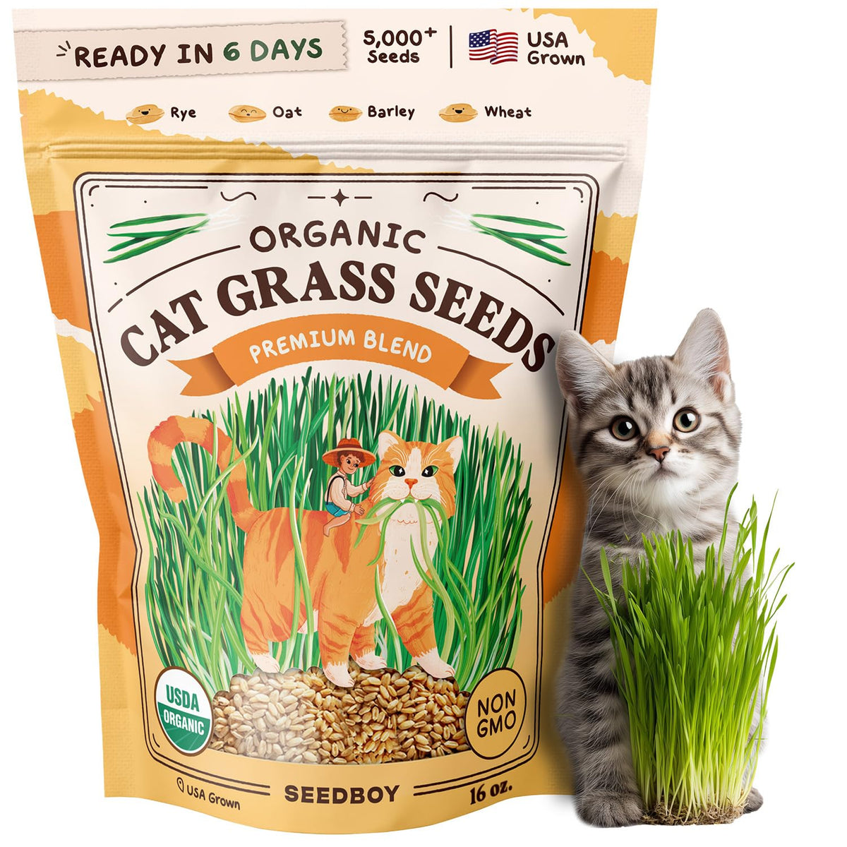 Seedboy cat grass seeds premium blend ready for indoor planting to satisfy nibbling