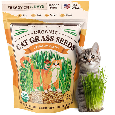 Seedboy cat grass seeds premium blend ready for indoor planting to satisfy nibbling