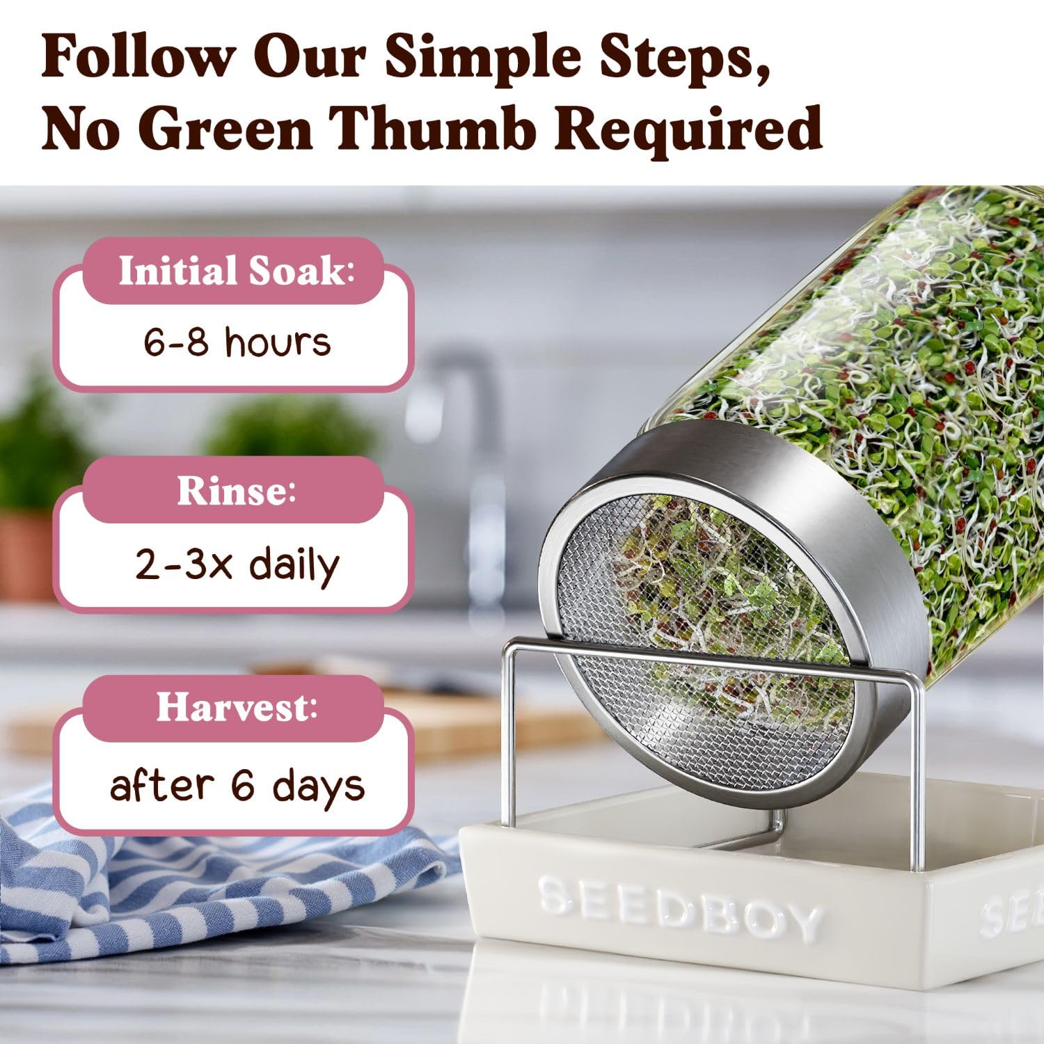 Compact indoor sprouting with Seedboy seeds yields crisp, zesty greens.