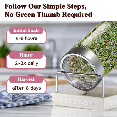 Compact indoor sprouting with Seedboy seeds yields crisp, zesty greens.