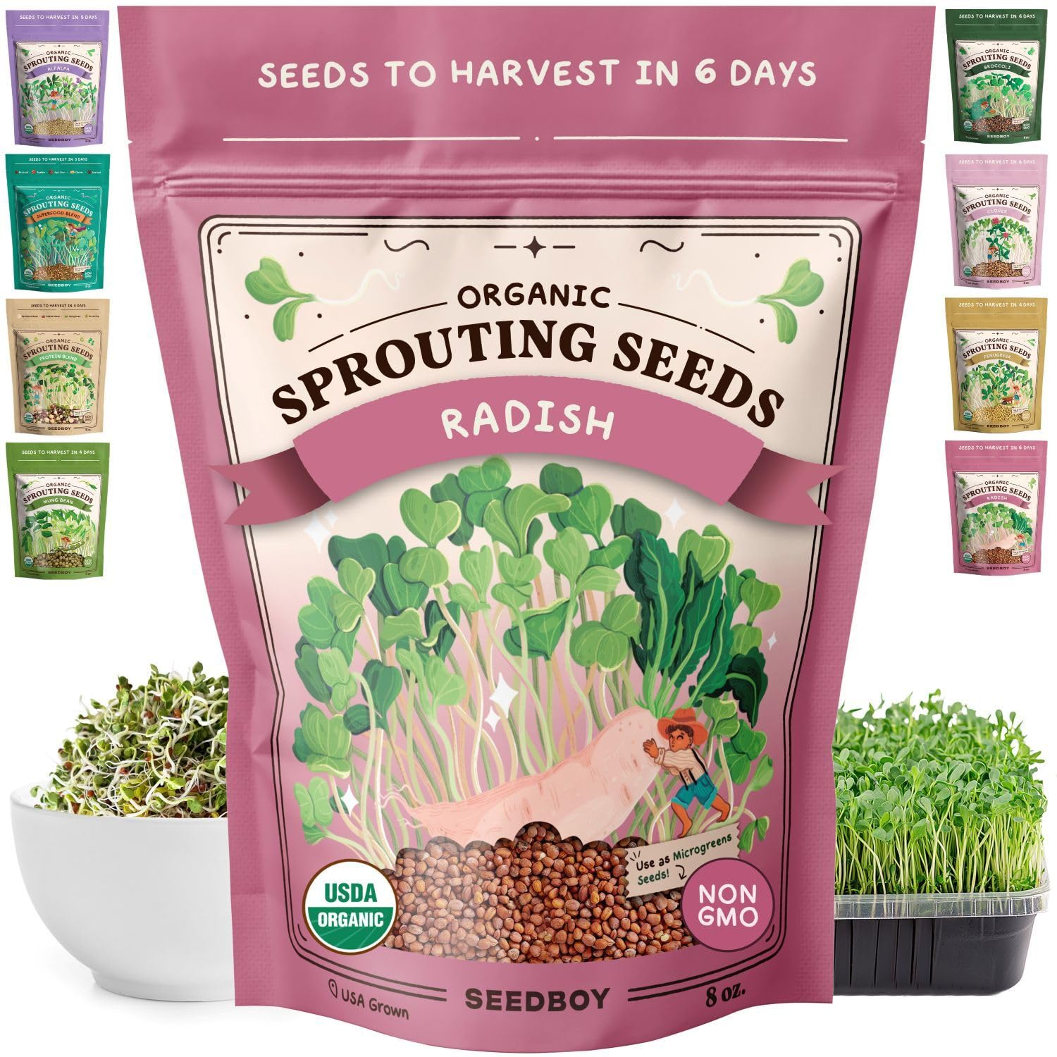Seedboy daikon radish sprouting seeds in a jar delivering quick, crunchy greens.